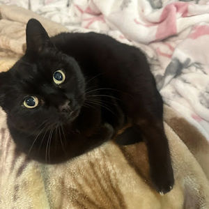 Meet your Posher, Soph